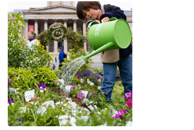 children-watering-plants